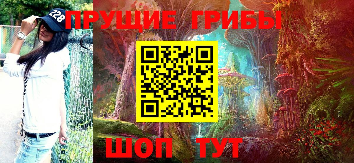 Галлюциногенные грибы MAGIC MUSHROOMS  Вход с VPN  Нурлат 