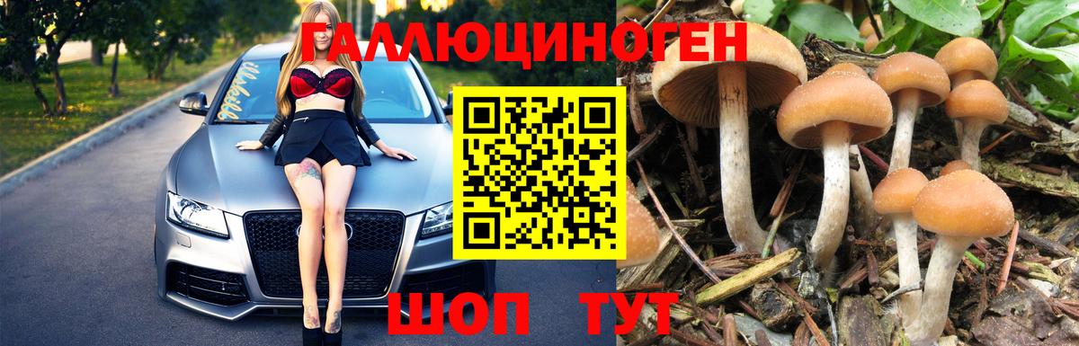 Псилоцибиновые грибы Psilocybe Нурлат